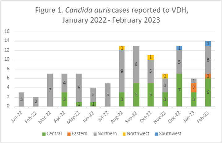 bar chart of candida cases